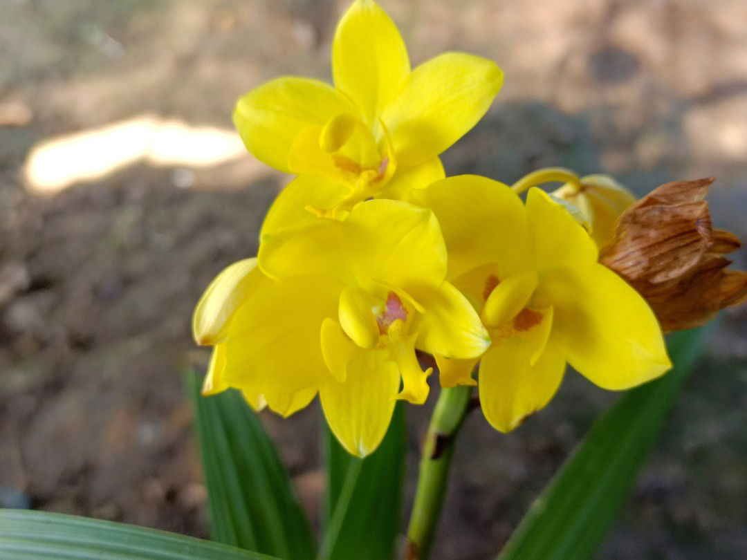 อะกิ profile icon