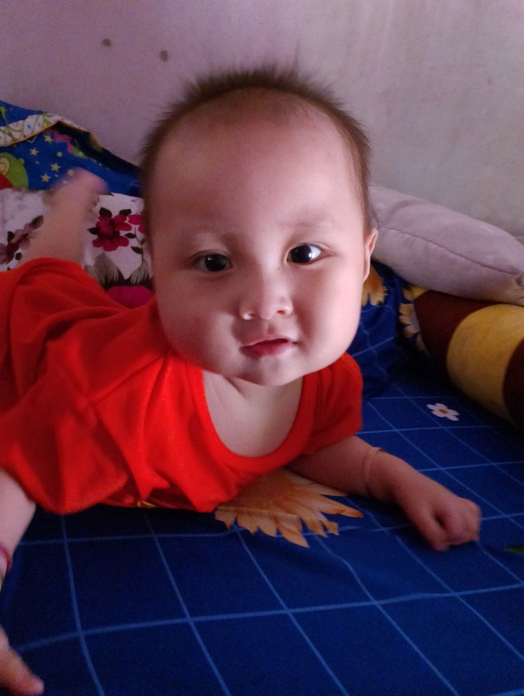 Phan Giỏi❤? profile icon