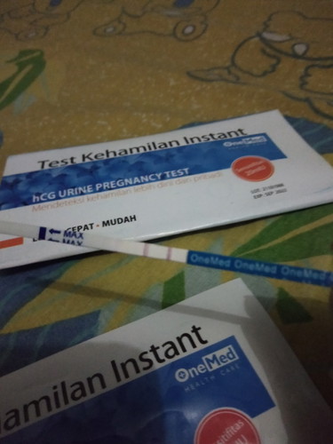 kehamilan