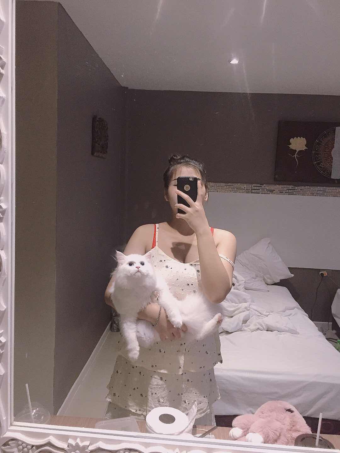 KittyPee TV profile icon