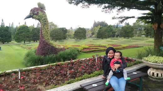 sintya maulida profile icon