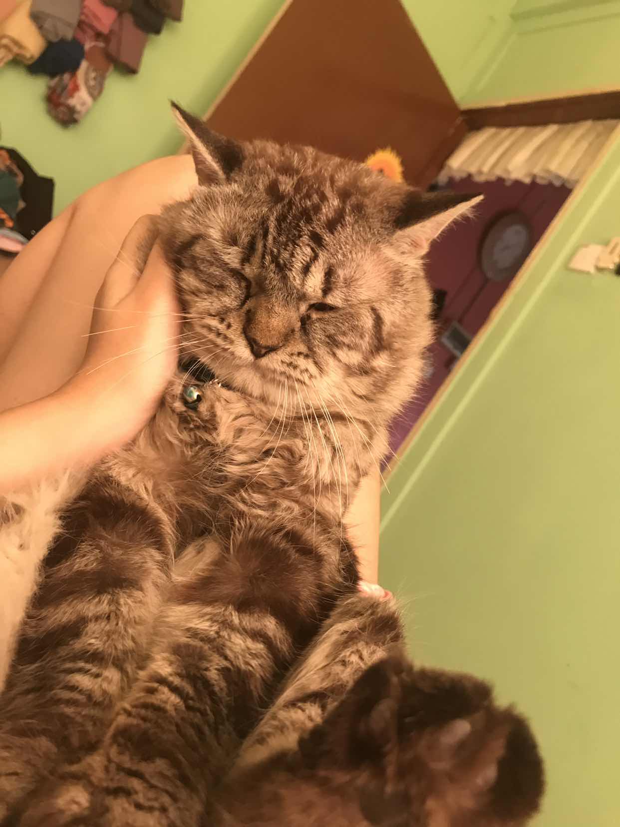 Yaya Mohd profile icon