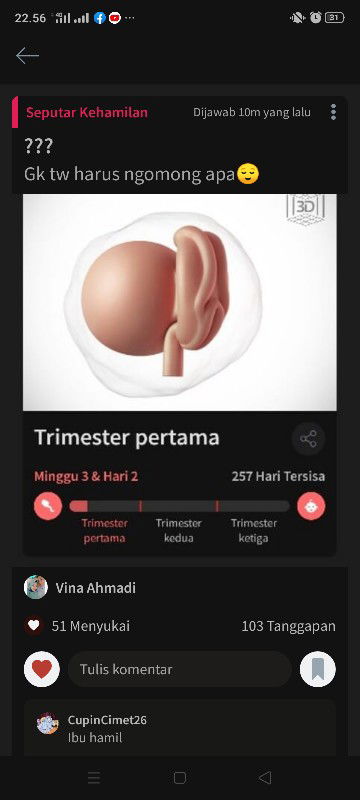 bisanya cuma ngebully orang awam😒