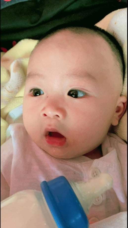 Jib Jip profile icon