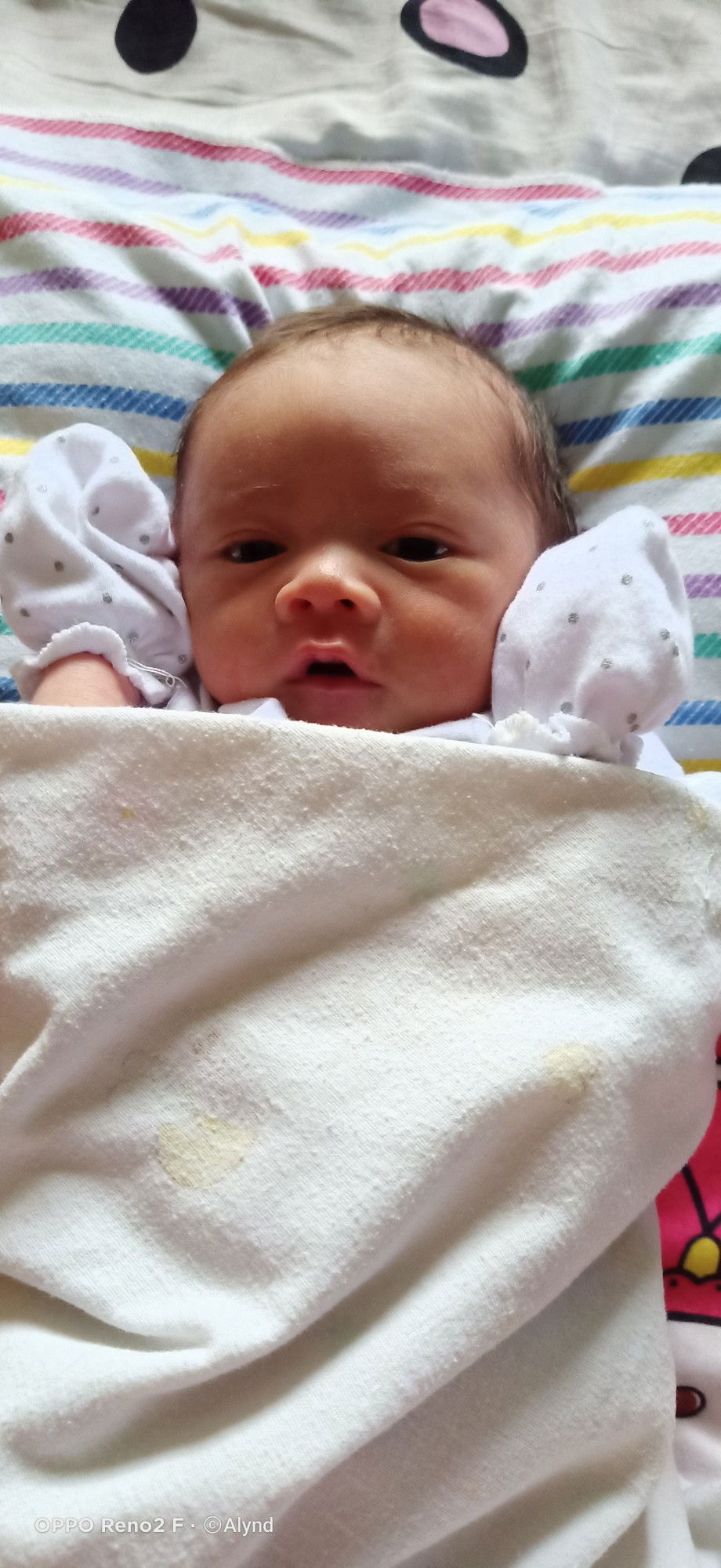 Vivin Aulyanda profile icon