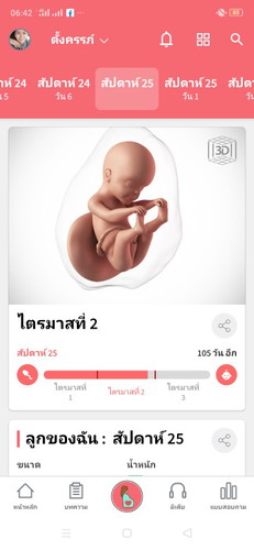 การทำงาน