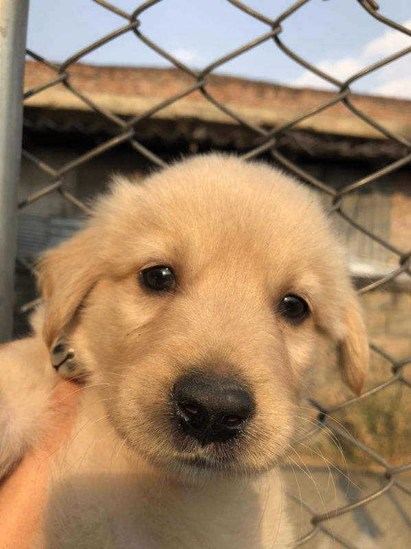 โลกที่สดใสในวันข้างหน้า profile icon