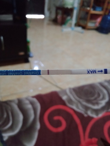 Test pact samar