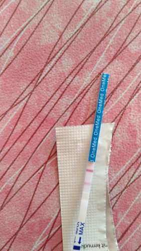 benar gak ni bun garis 2 nya