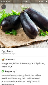 Eggplant