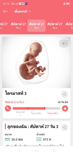 ไตรมาสที่3 แลว