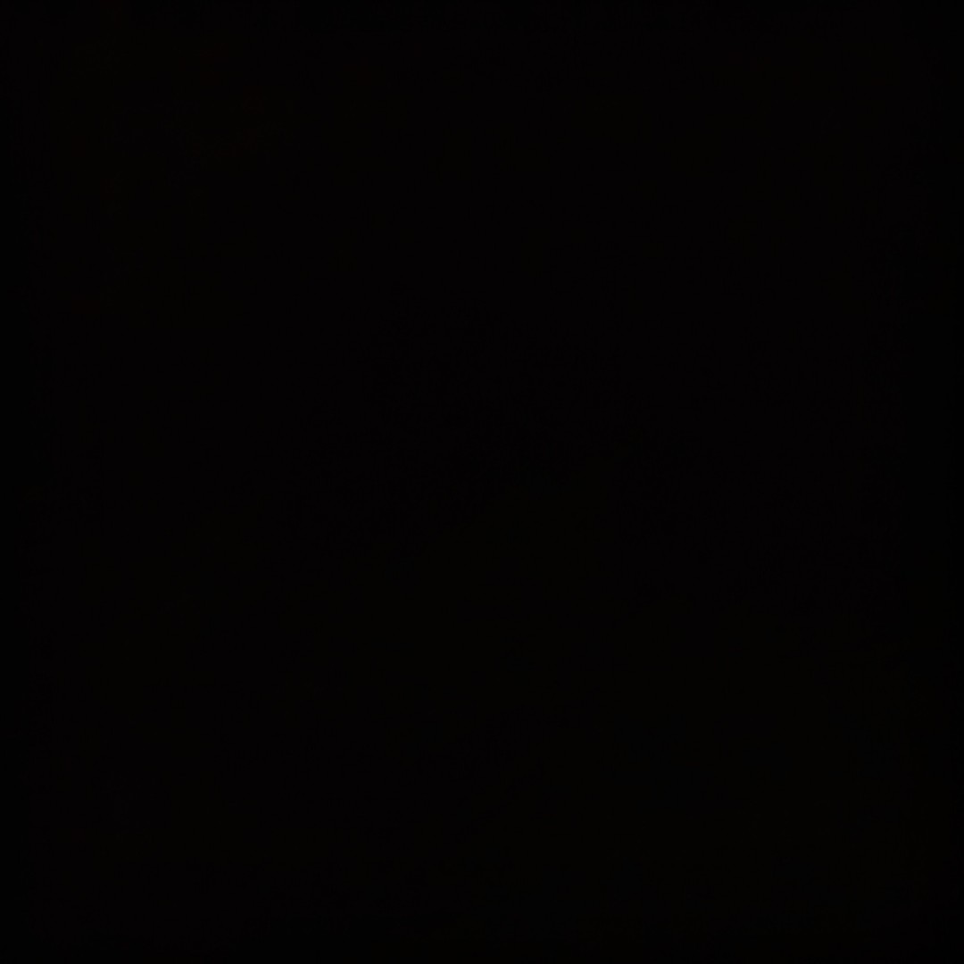 Venessa profile icon