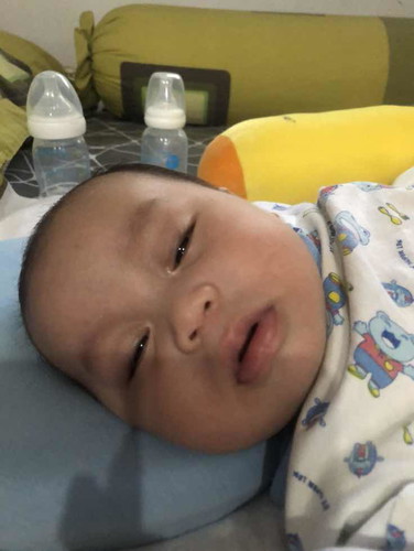พัฒนาการด้านร่างกาย