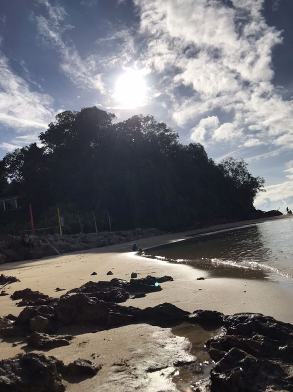 nor syamliah profile icon