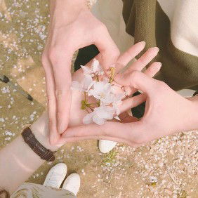 Fitri Amalia profile icon