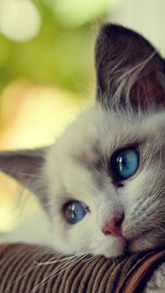 Rofi'ah Hs profile icon