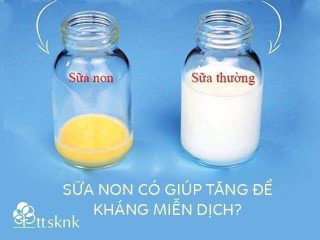 mama sữa non cùng con khôn lớn