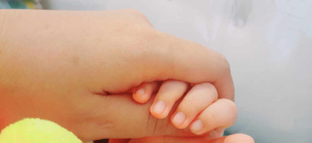 wetry novila profile icon