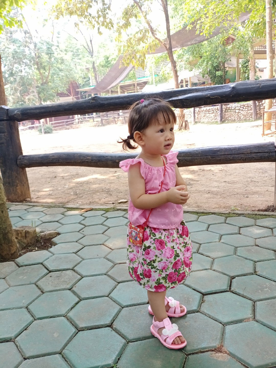 Praew Sujita profile icon
