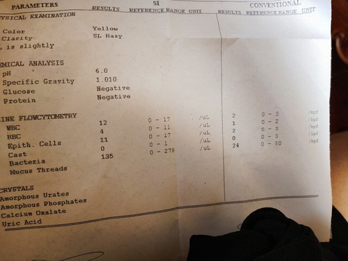 Urine test