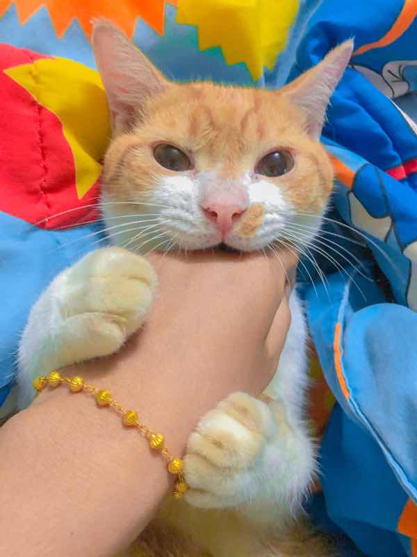 Parichart Promsai profile icon