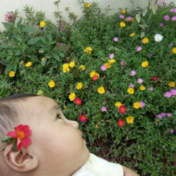 taruh bunga ditelinga baby