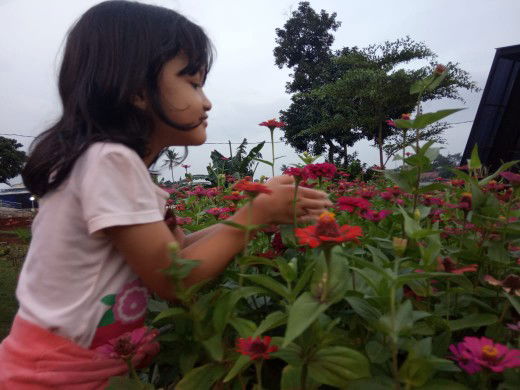 Aileen Nathania profile icon