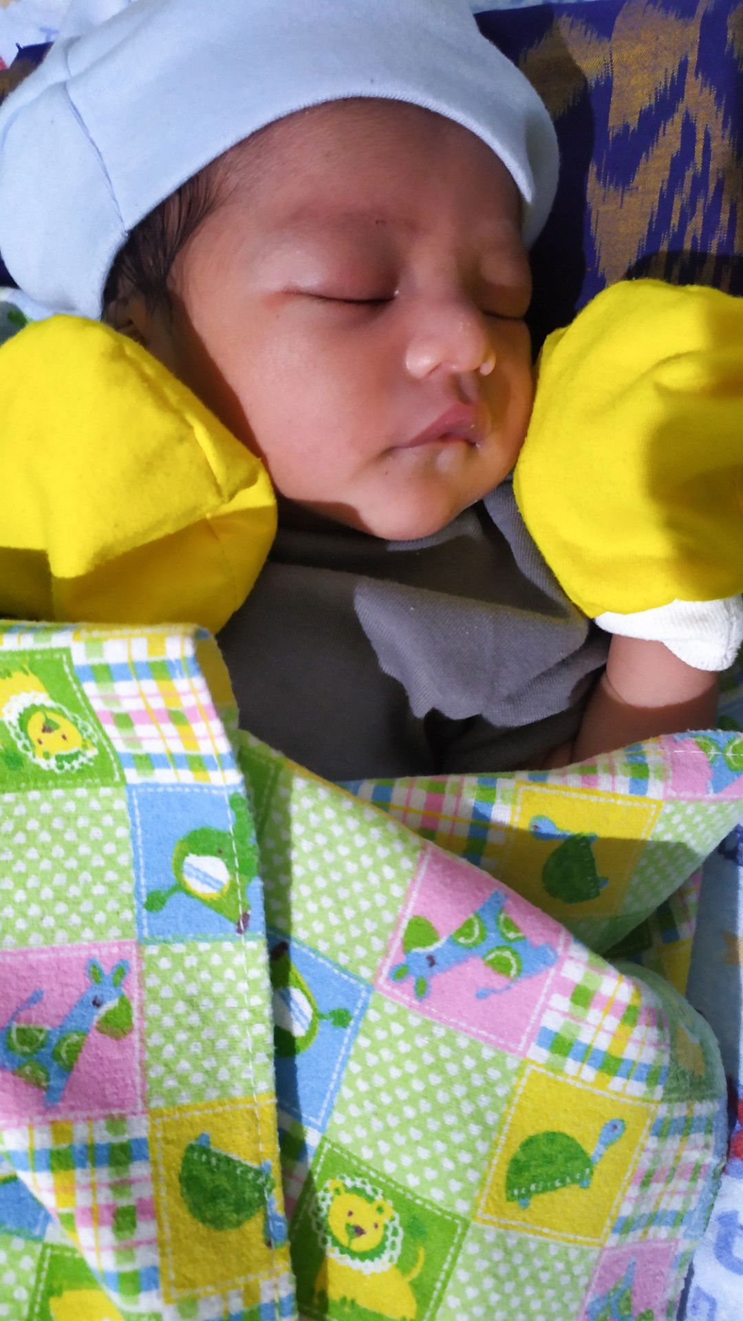 fani priday profile icon