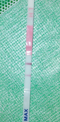 Ovulation Test