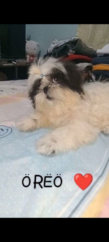 Jenn Reyes profile icon