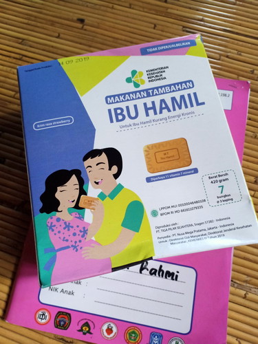 Makanan ibu hamil