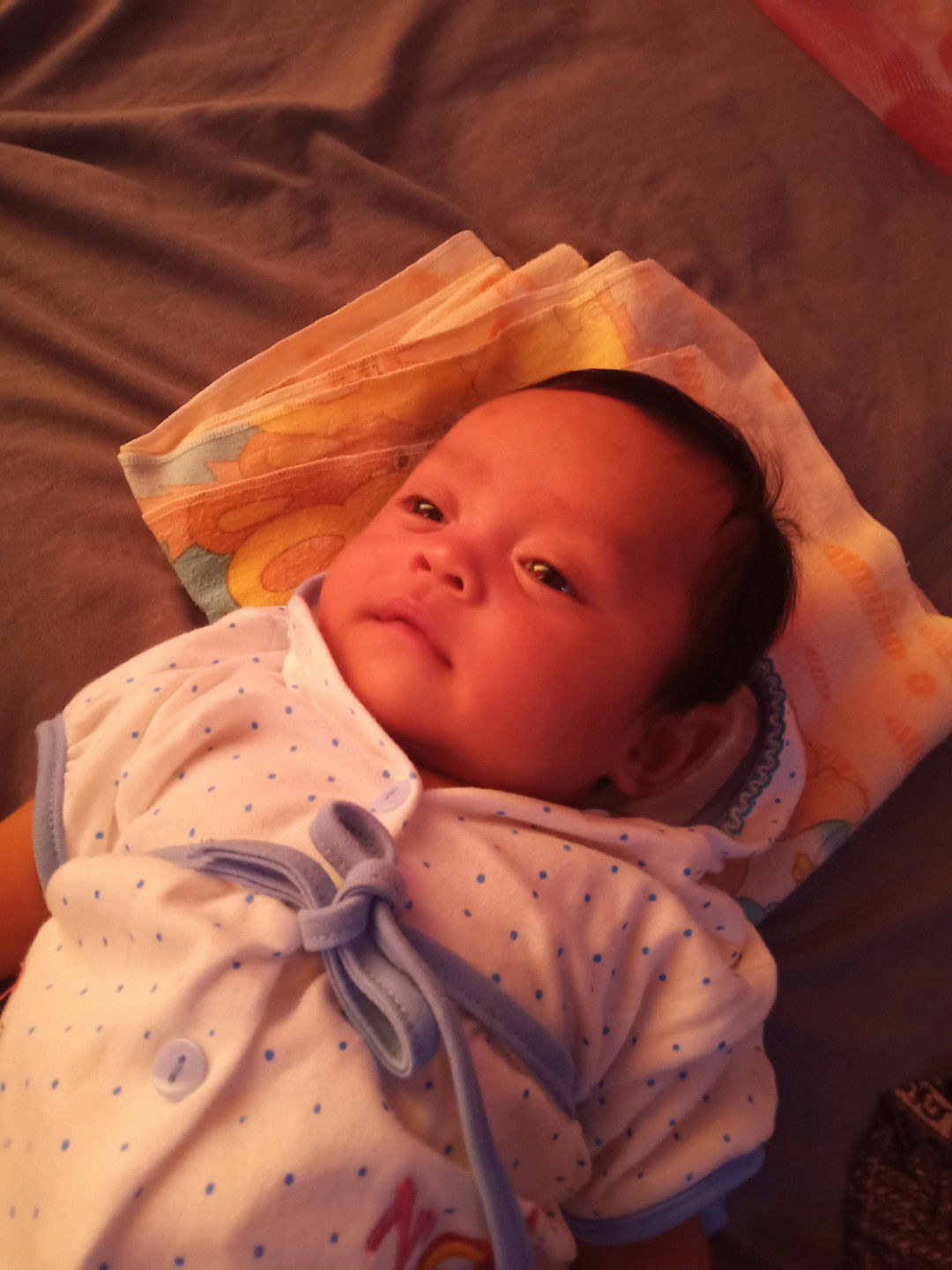 Areni Julia Sari profile icon