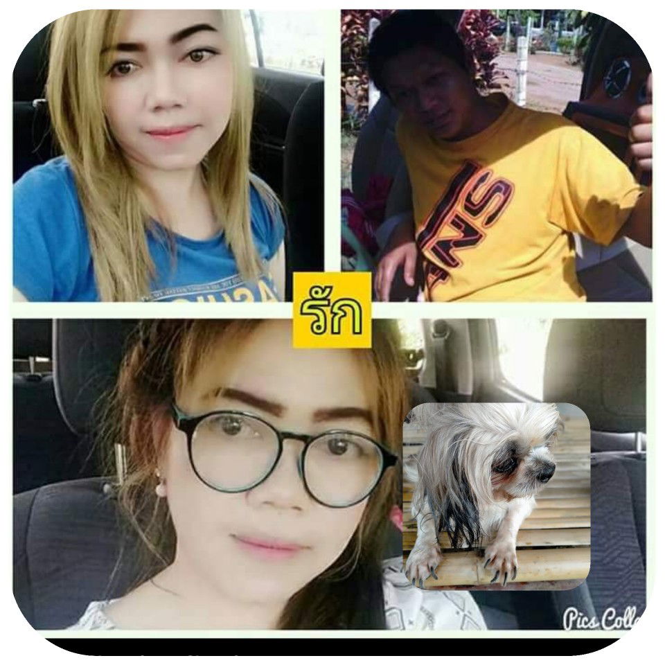 แนนนี่ สายโหด profile icon