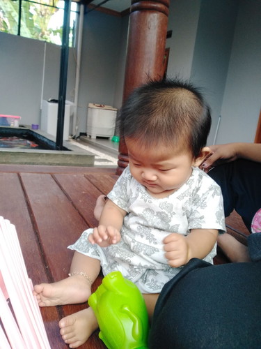 rambut singa