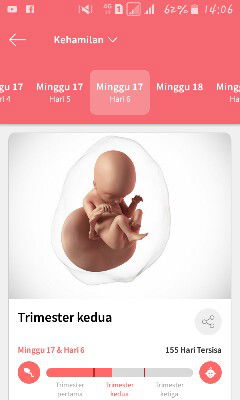 kehamilan