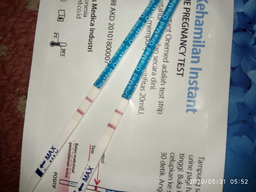 saya lupa tgl menz ny ts udah sebln aku fositif hmil