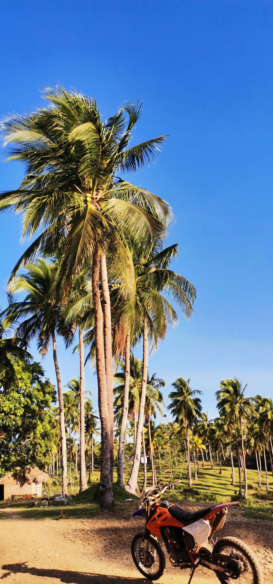 Anonymous profile icon