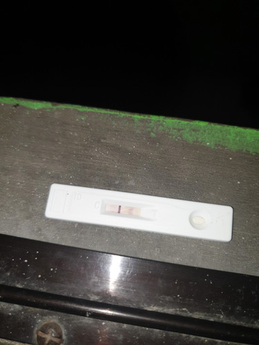 Pregnant or not?