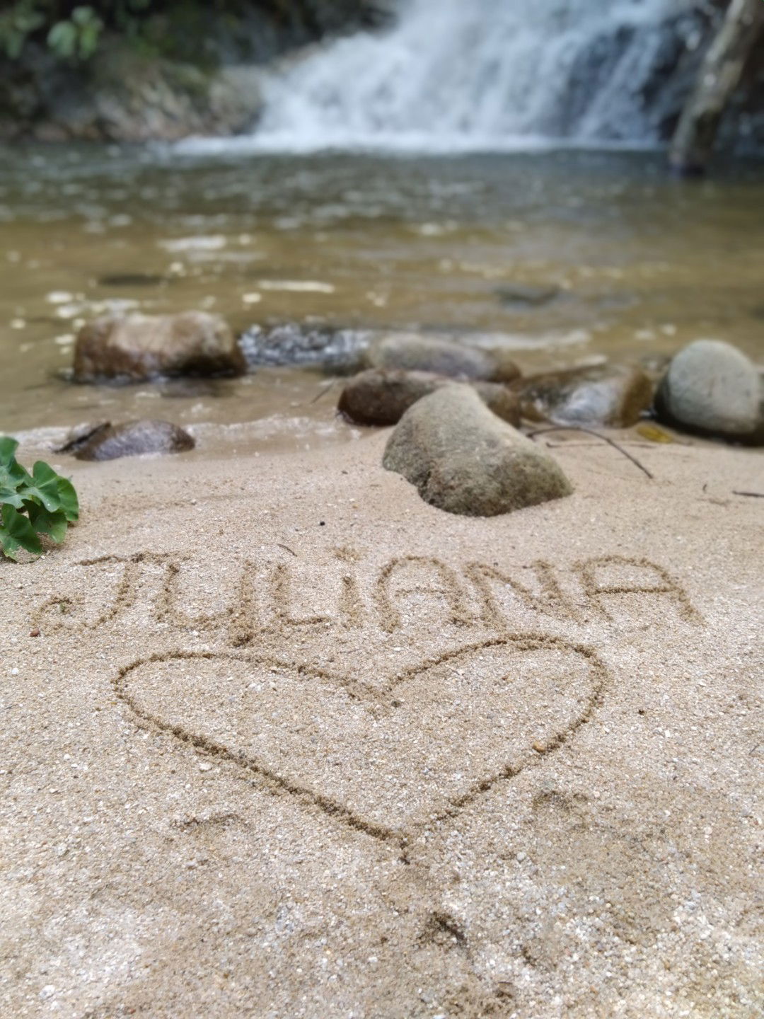 ?"_ Meliyana_Yana_"? profile icon