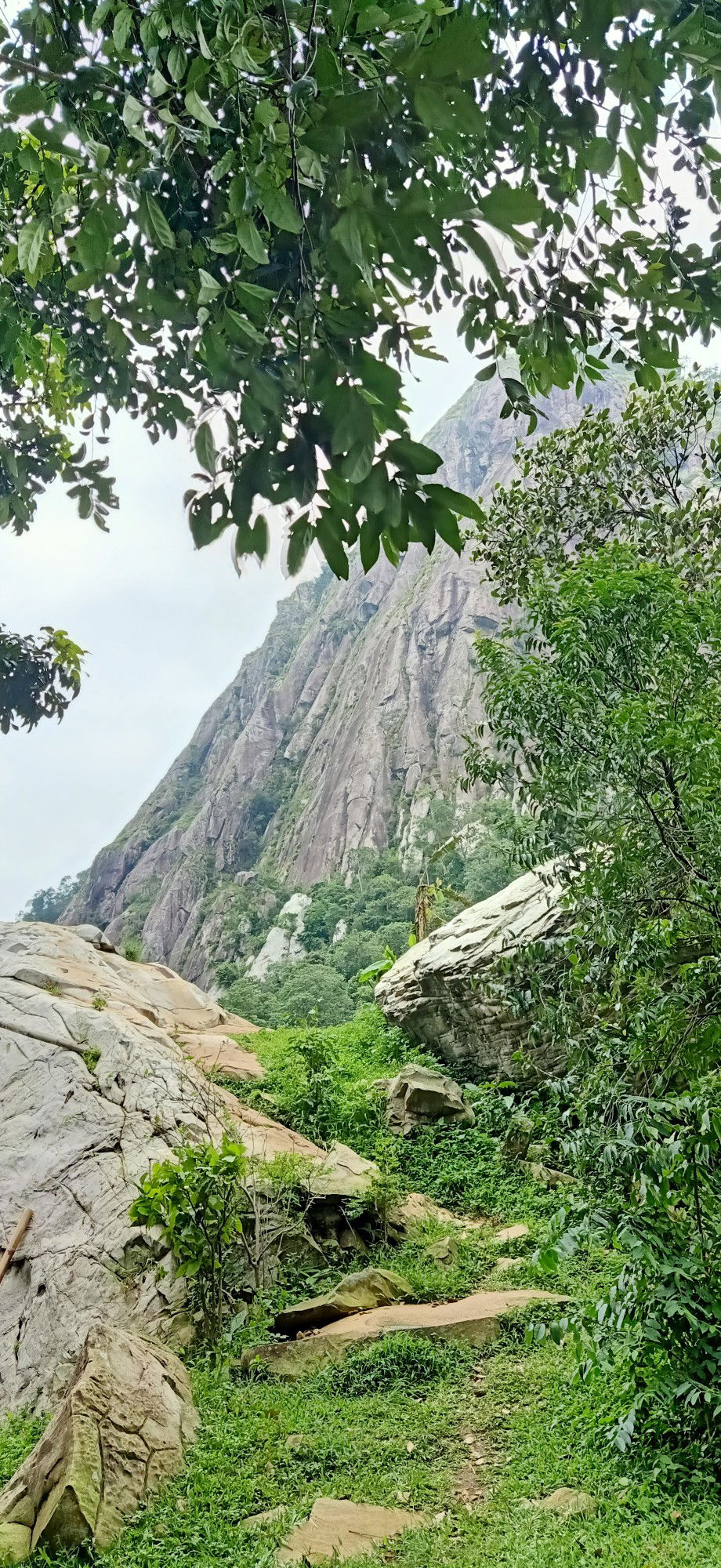 Rizka Putri Nadhi profile icon