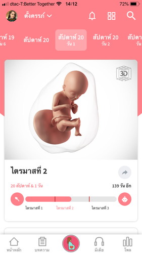 20สัปดาห์