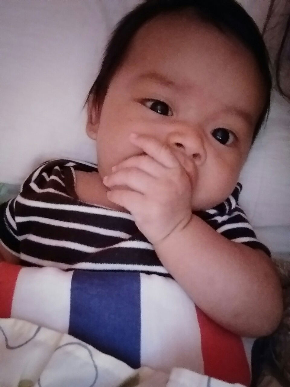 Patricia Coscolluela profile icon