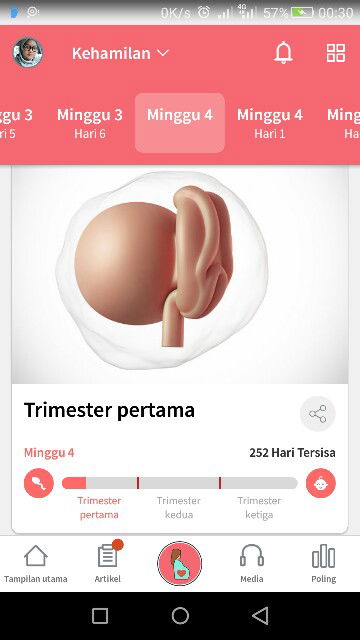 kehamilan