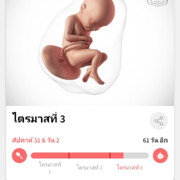 ท้องไม่พร้อมแต่รักมาก