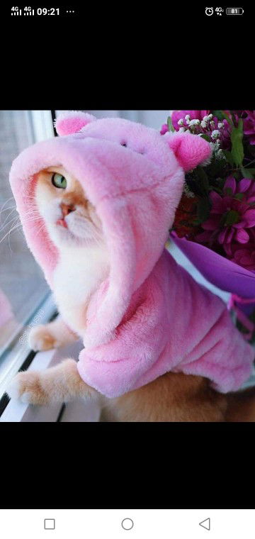 Ny. A Hariyanto profile icon