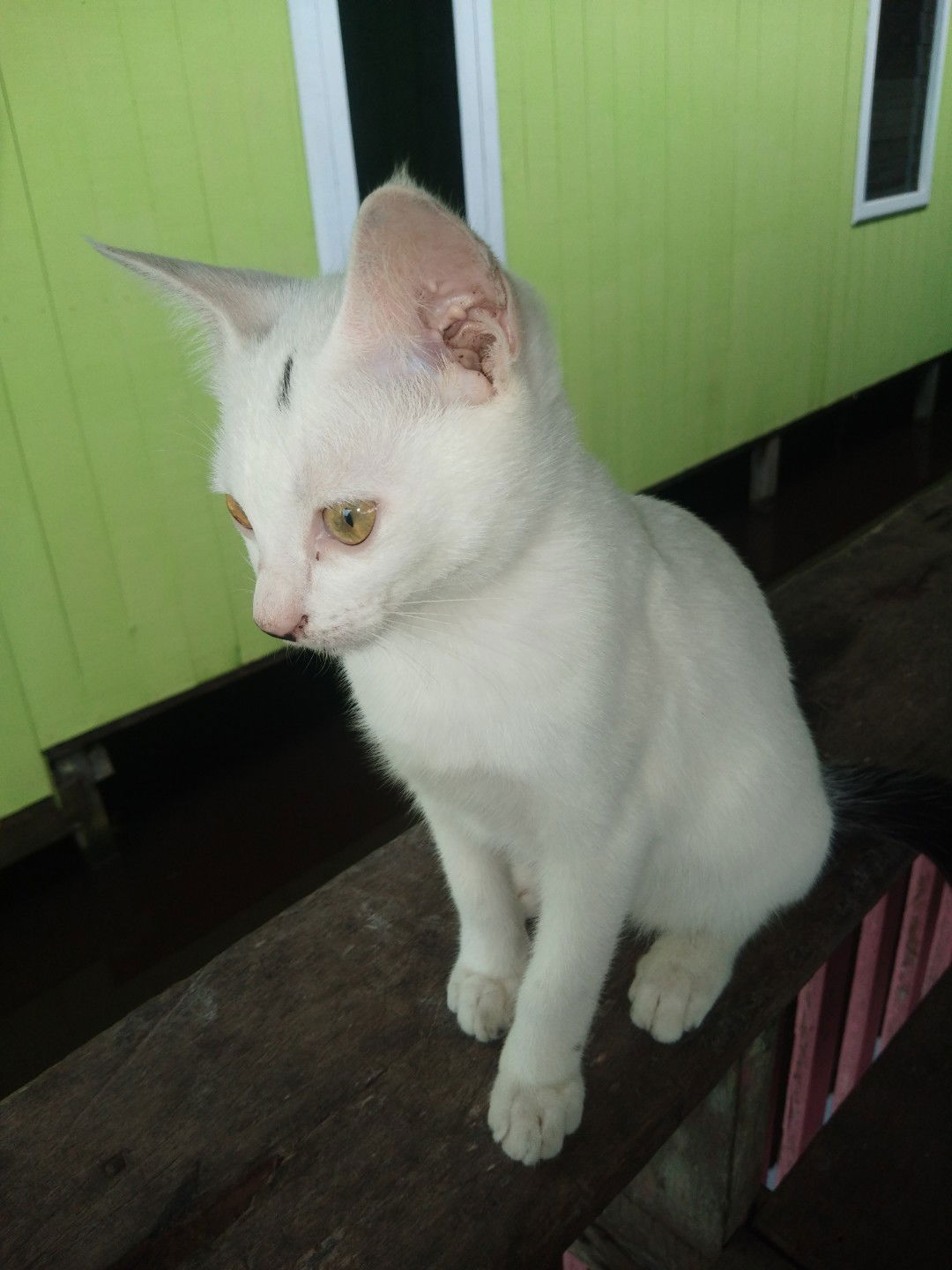 bunda aira profile icon