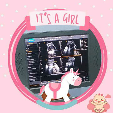 septian ines ayu dwi saputri profile icon