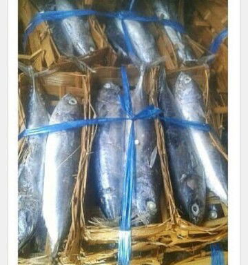 bolehkan makan ikan kranjangan