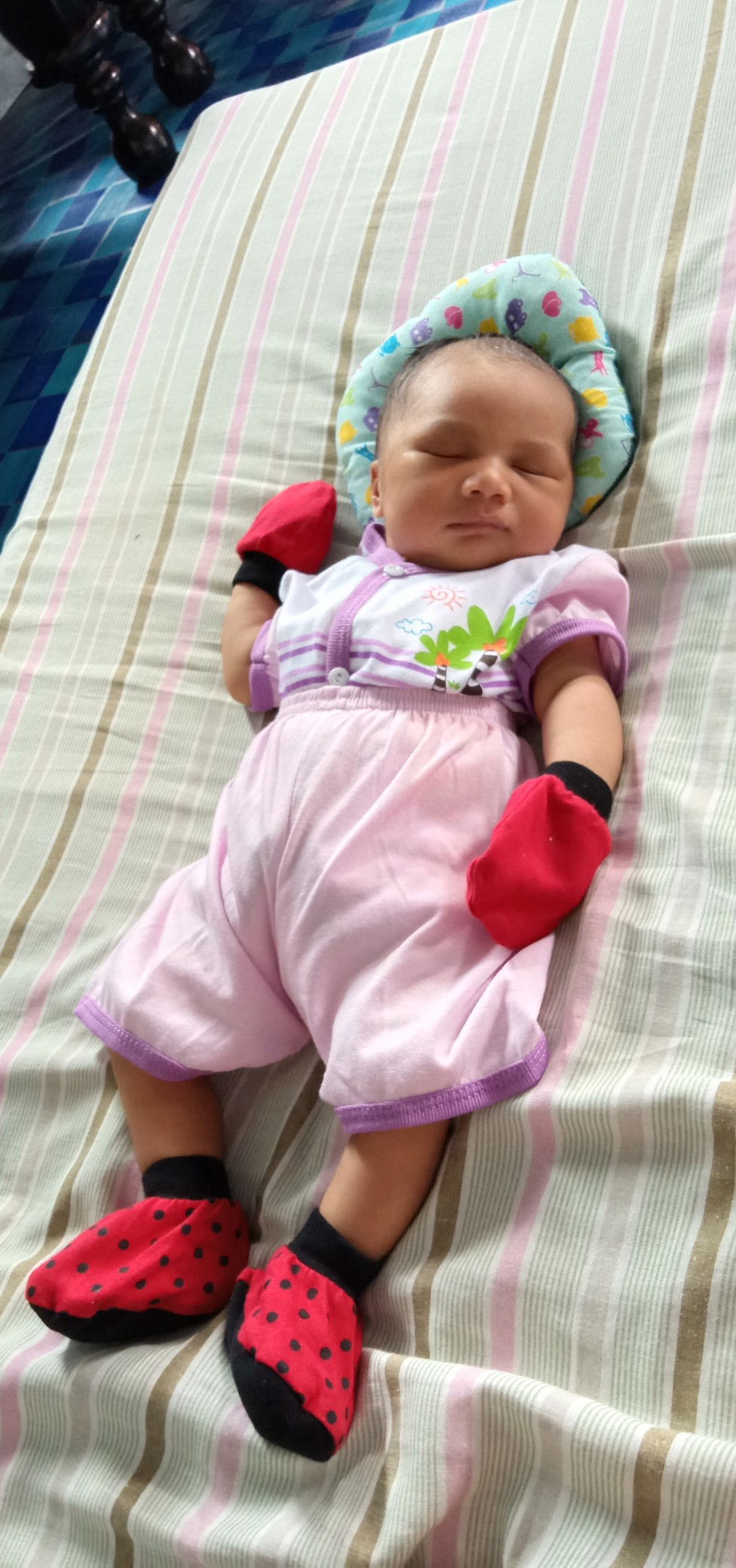 Muhammad naim anaqi profile icon