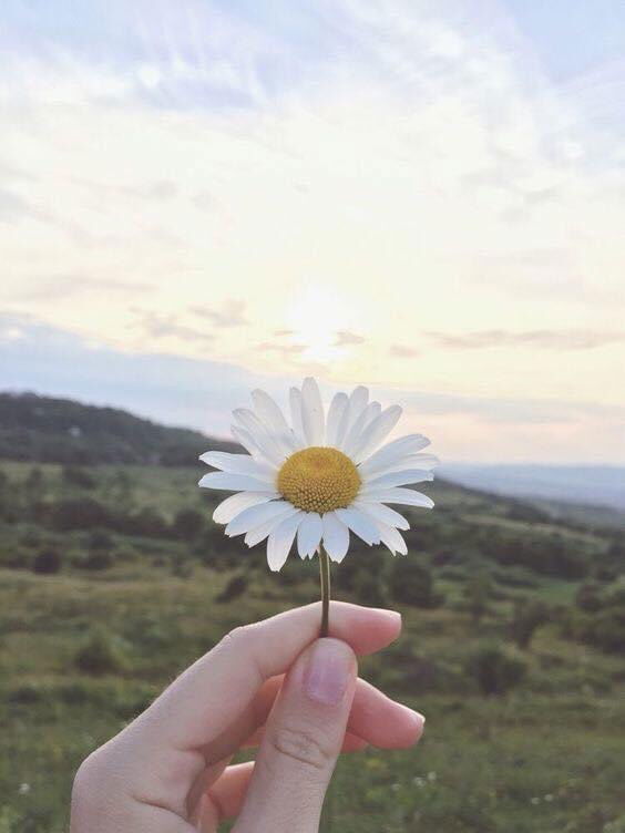 เจี๊ยบ' จุ๊บ profile icon